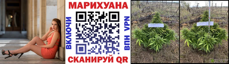 Конопля ГИДРОПОН  Купить где  Переславль-Залесский 